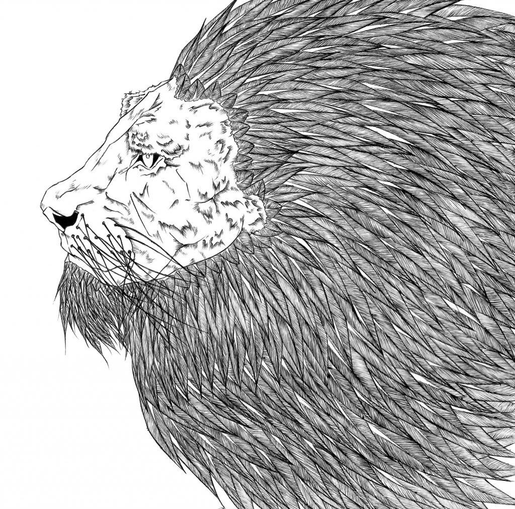 Detailed illustration of a lion's face and mane.